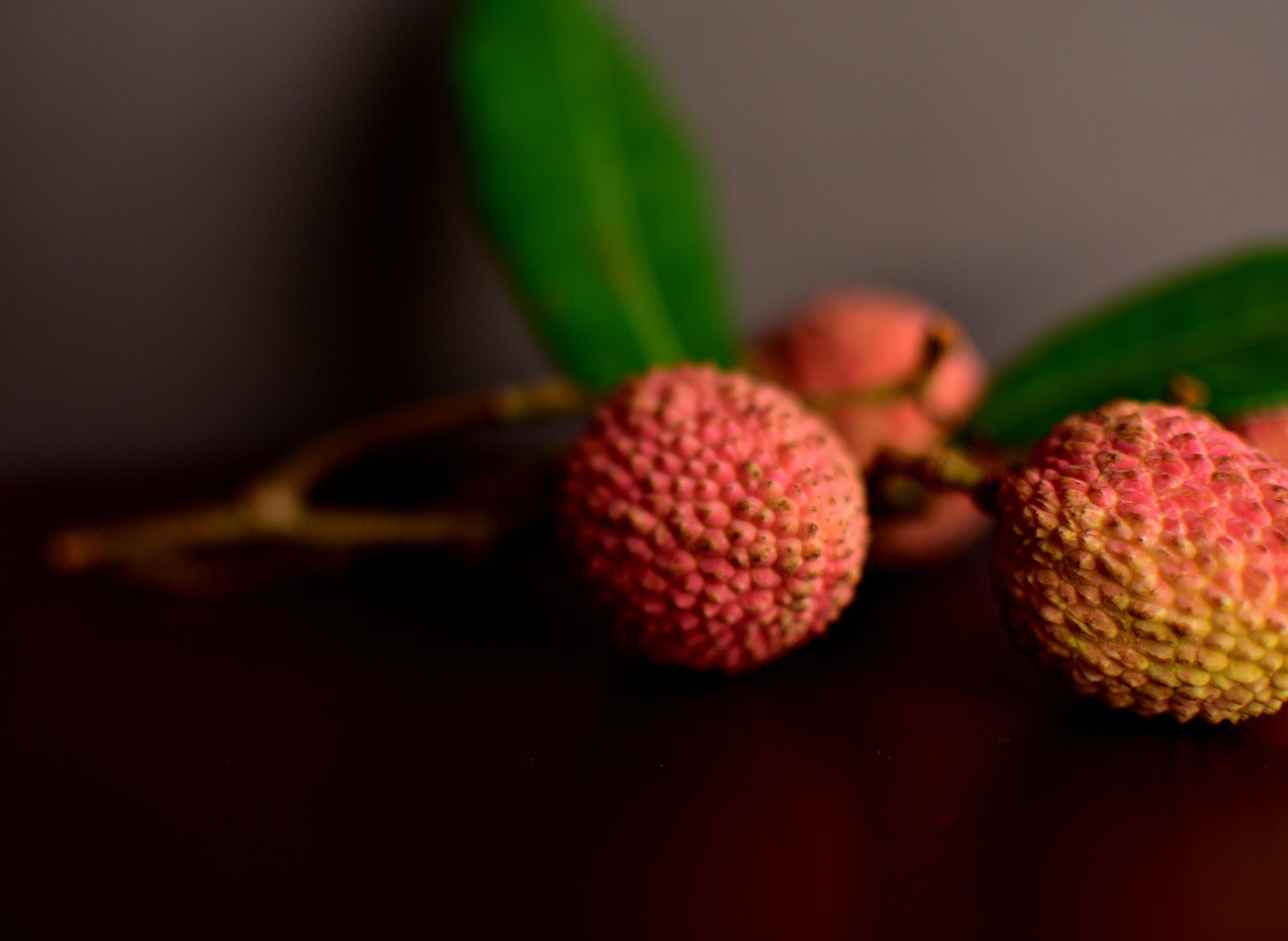 Litchi Fruit Tree