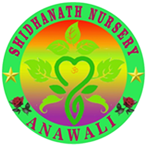 Siddhanath Nursery