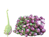 Deshi Anavali Vangi purple white on plant